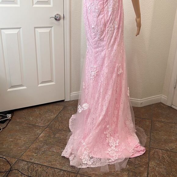 Hebron Pink Wedding Dress Sheer Embroidered Floral Lace High End - Picture 9 of 13